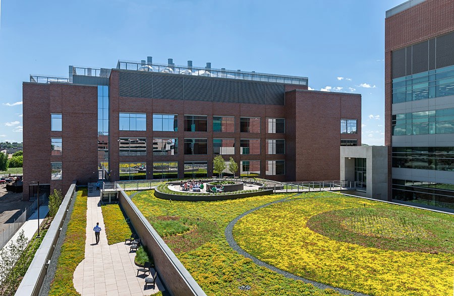 Brick research buildings and a green roof courtyard in the Biomedical Discovery District at the University of Minnesota